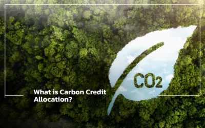 Blogs 8 What is Carbon Credit Allocation?