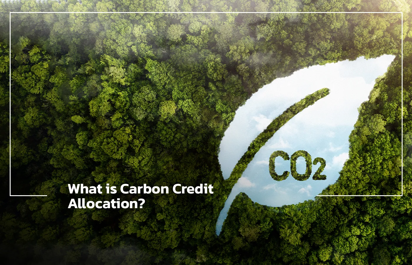 What is Carbon Credit Allocation